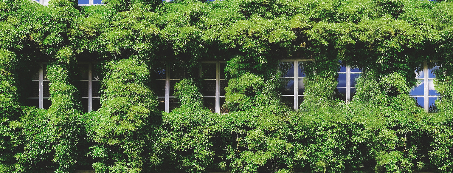 Hsbc business plan template image