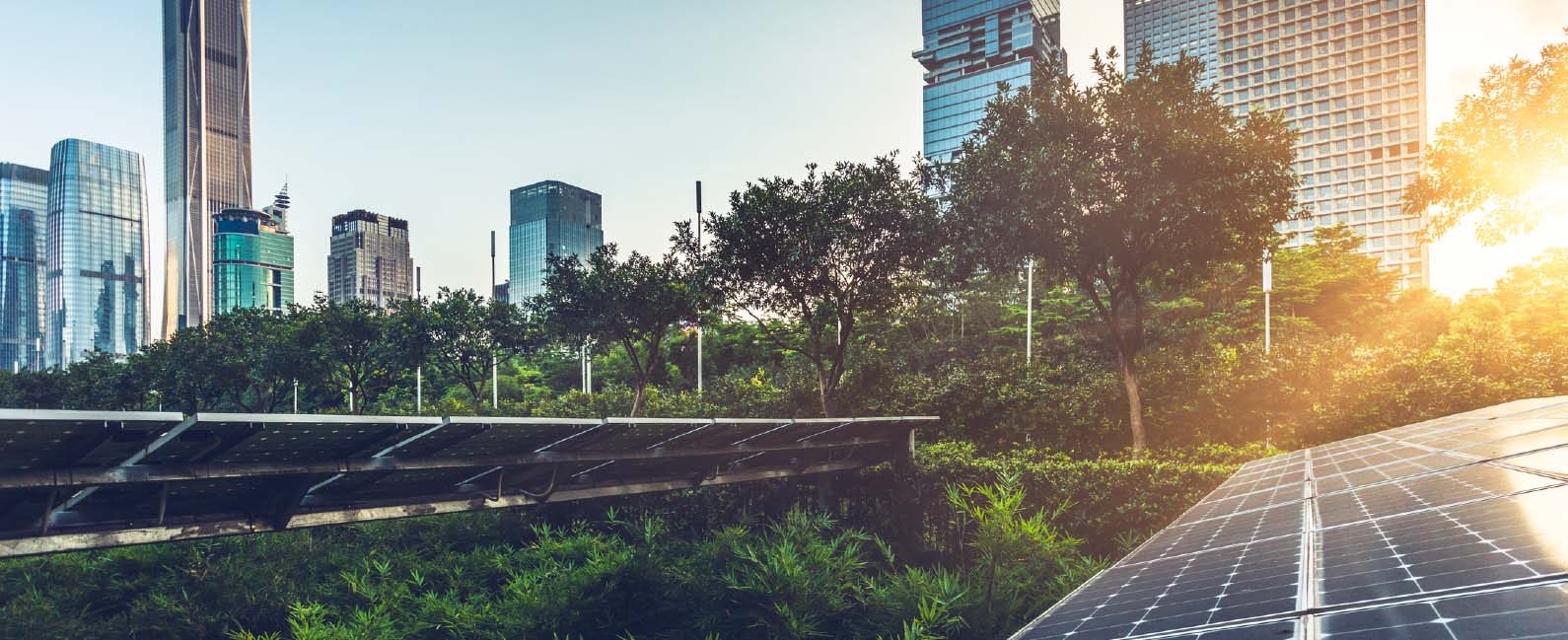 ESG報告實用指南橫幅 ESG報告實用指南橫幅