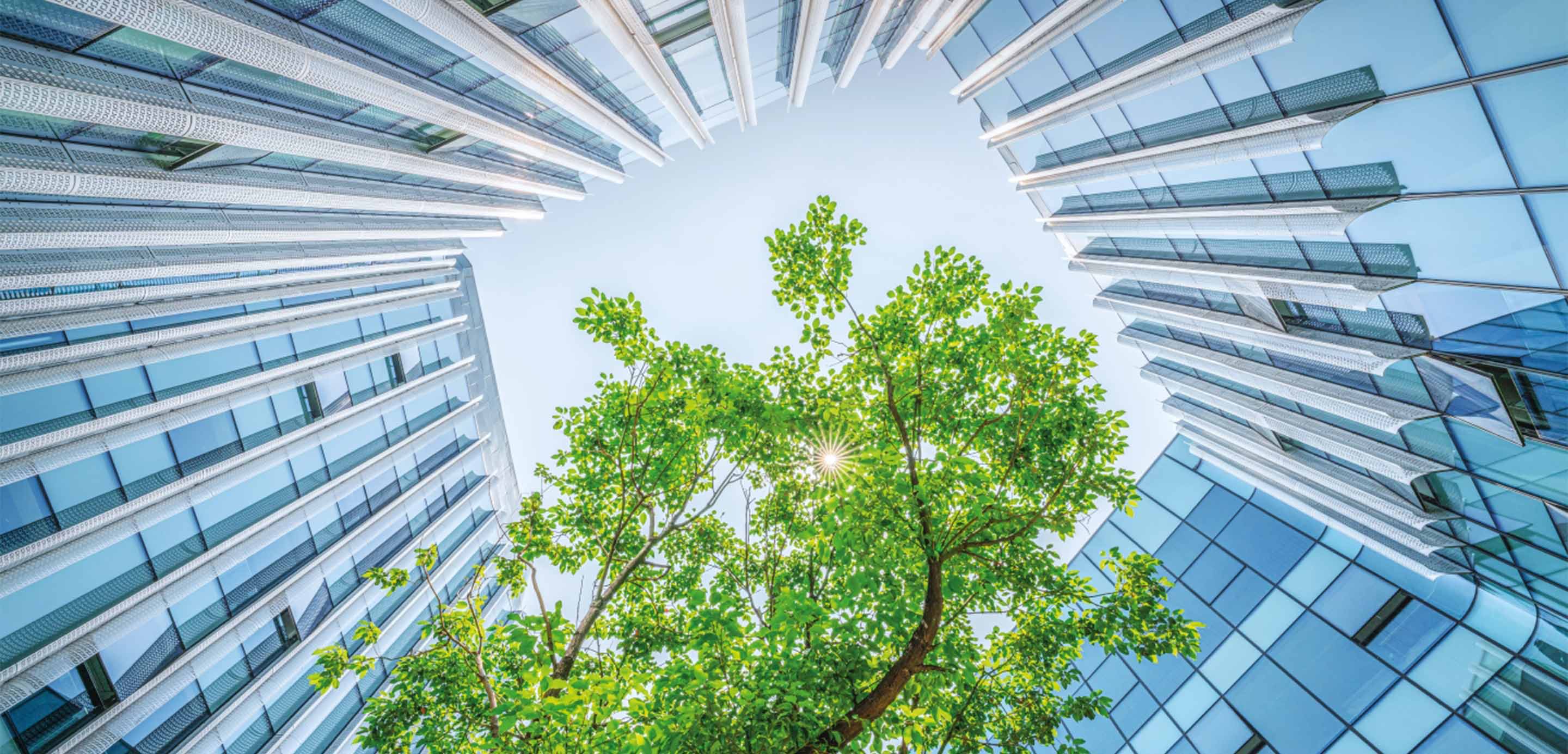 Choosing the right ESG framework for your business Choosing the right ESG framework for your business