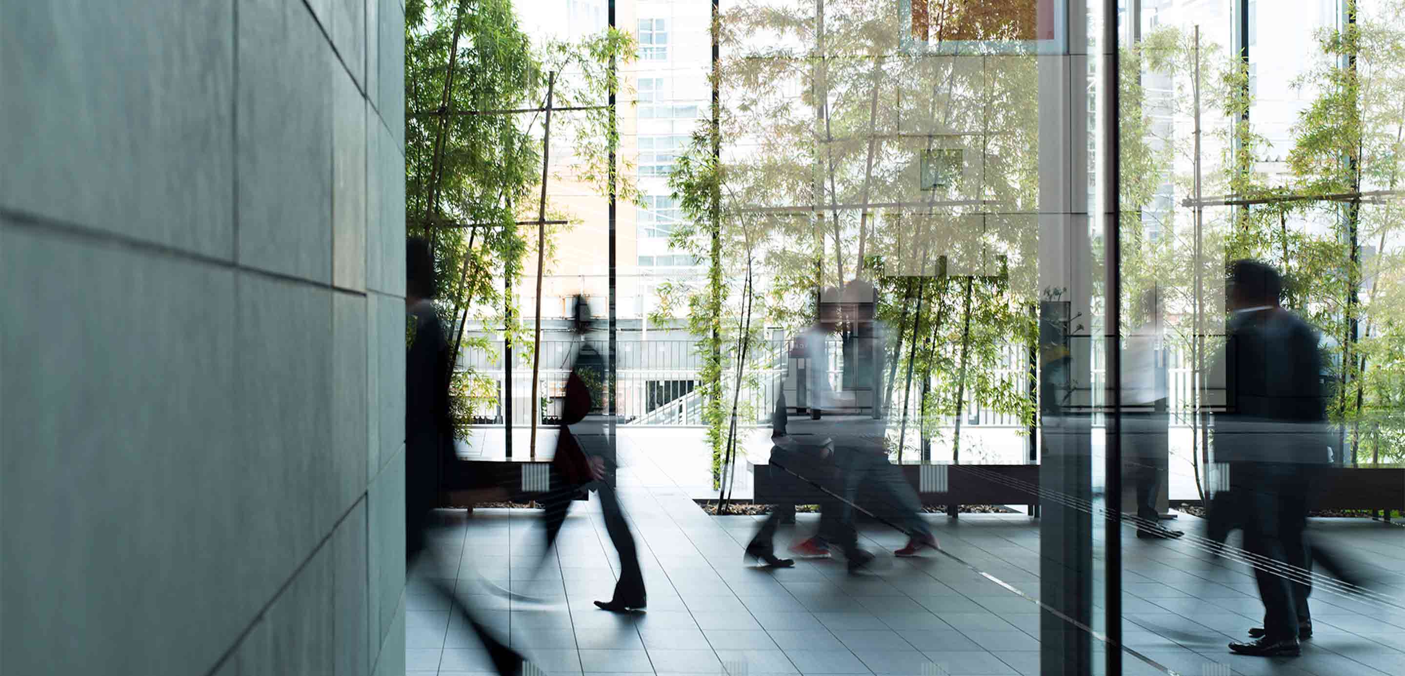 What is ESG and how can SMEs apply it effectively? What is ESG and how can SMEs apply it effectively?