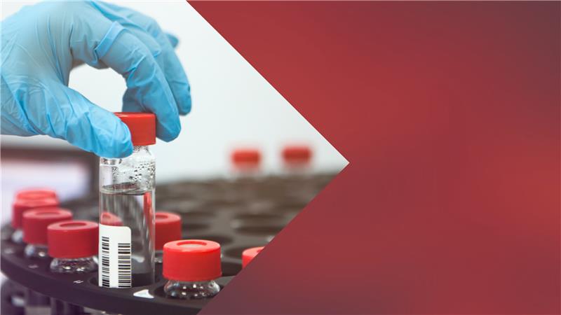 Global Trade Solutions sectoral insights series Global Trade Solutions sectoral insights series