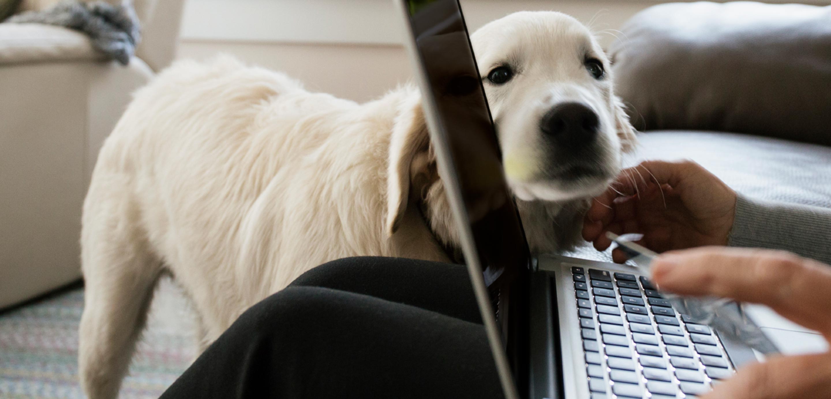 OneDegree banner image OneDegree banner image