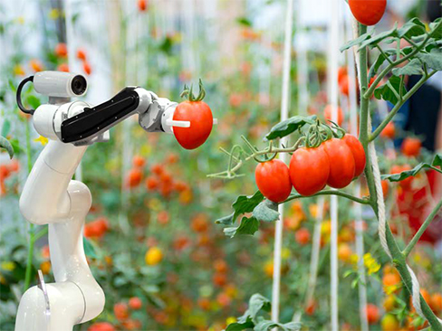 More insights More insights