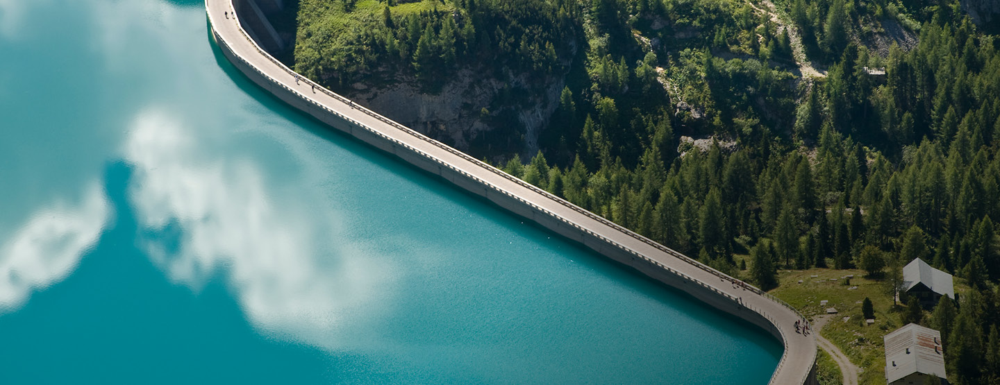 Global Trade Pulse Survey Global Trade Pulse Survey