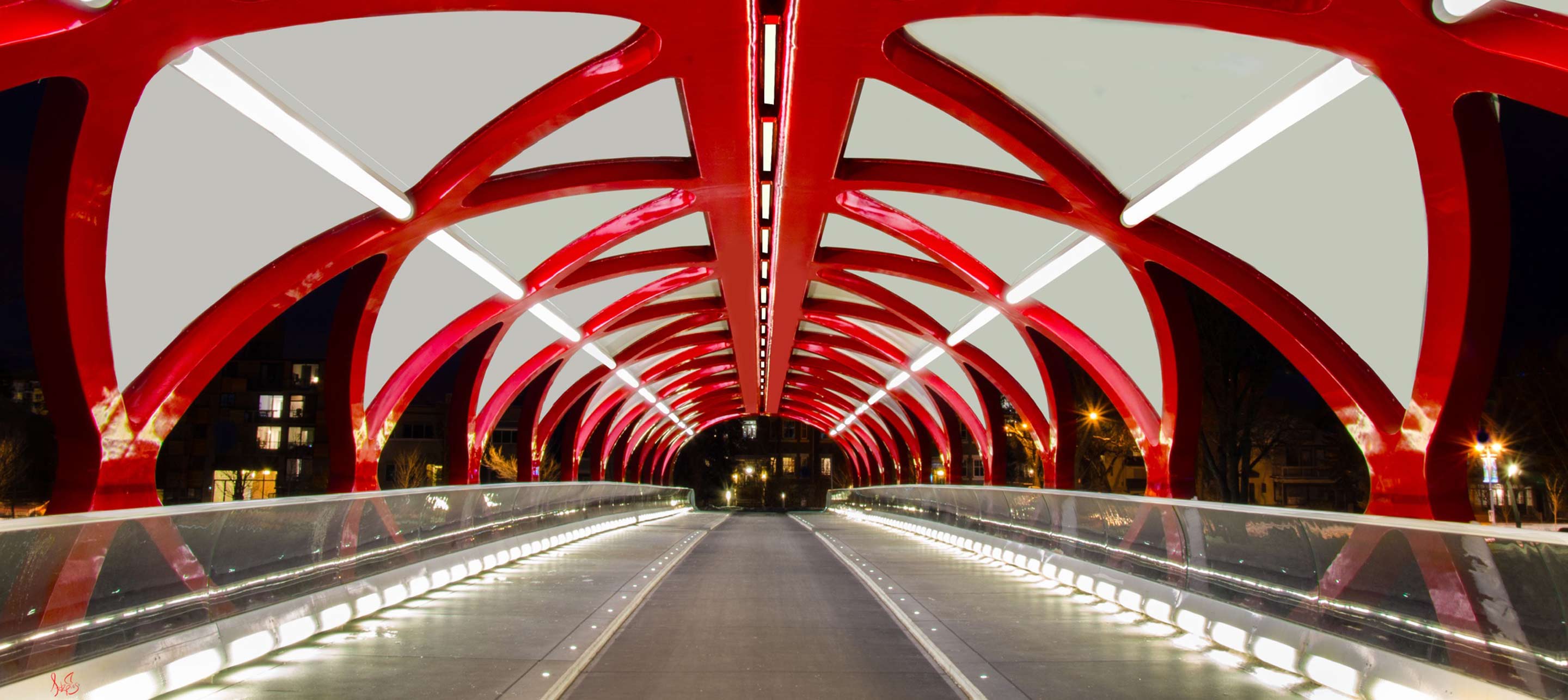 International Connectivity International Connectivity